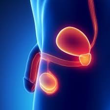 pre-operation-info-penile-implant-02